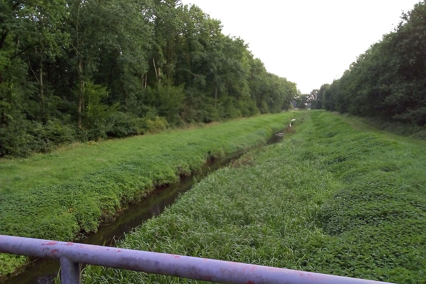 Wietze Blick nach Süden