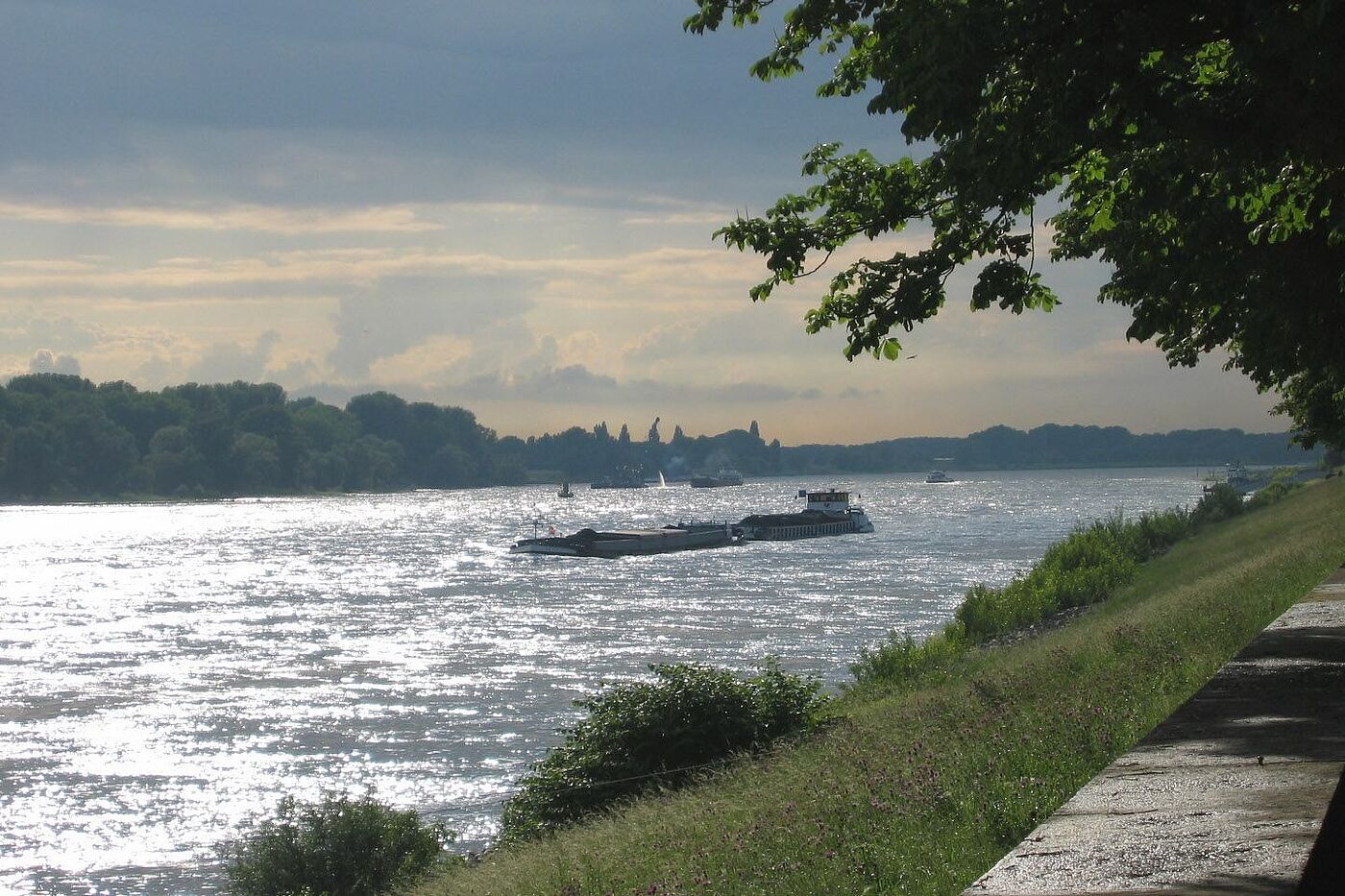 Rhein bei Düsseldorf