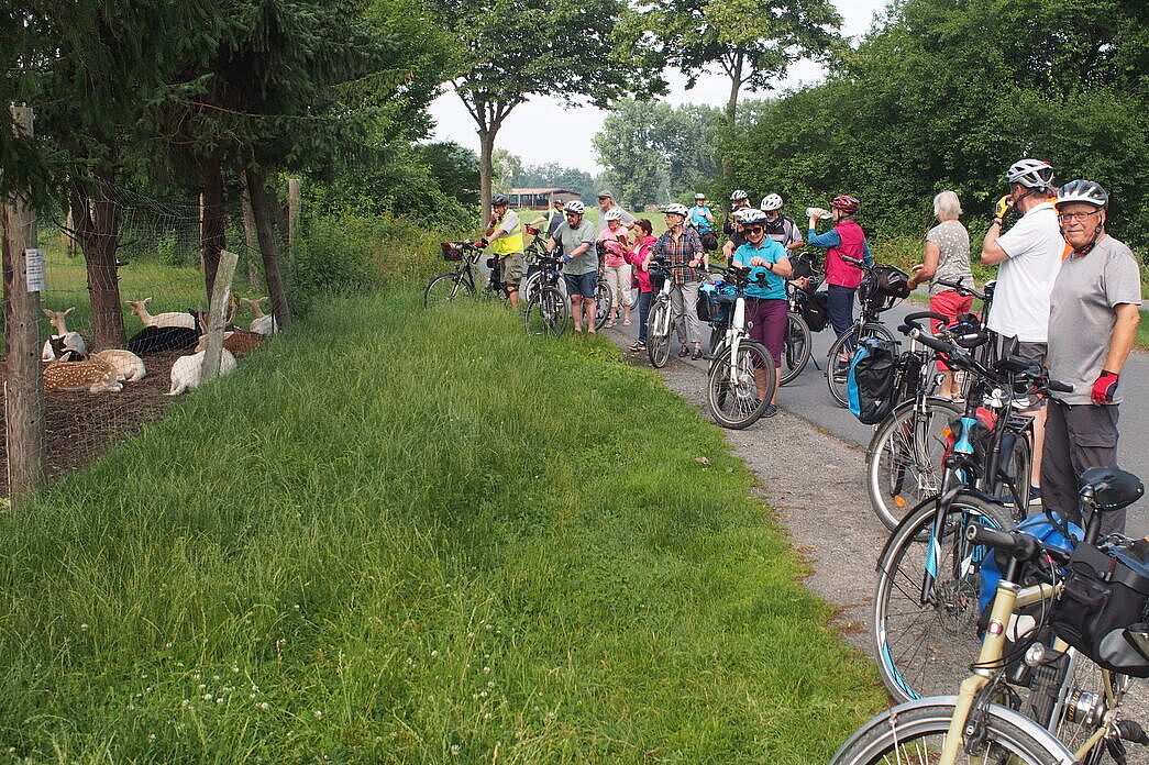 Gruppe in Steinwedel