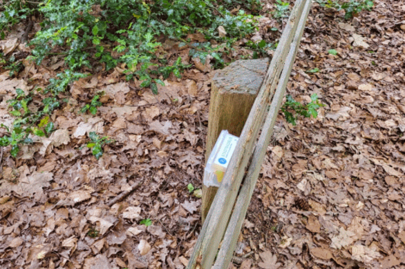 ST03 Königsstein - Stein im Wald