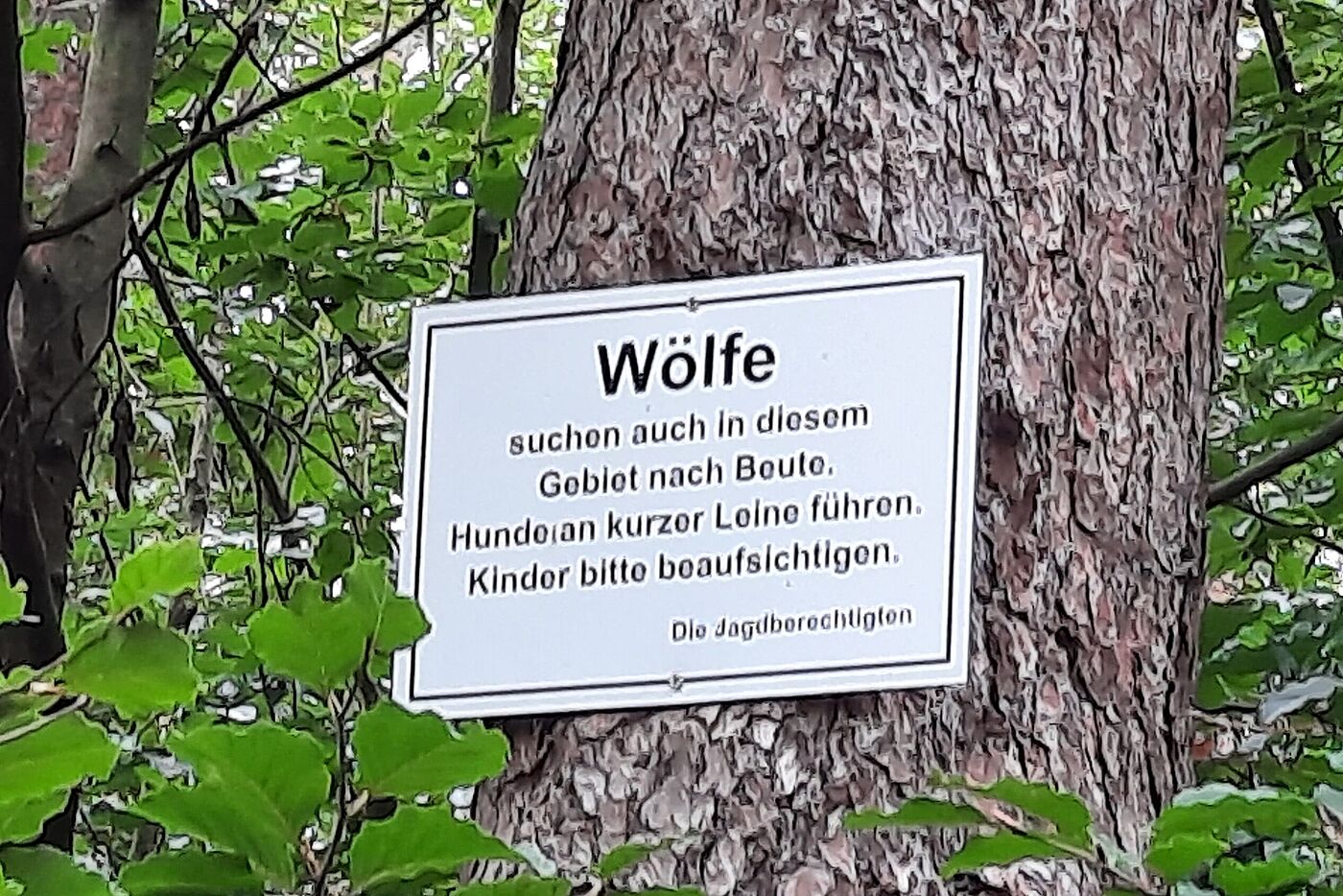 Schild Achtung Wölfe