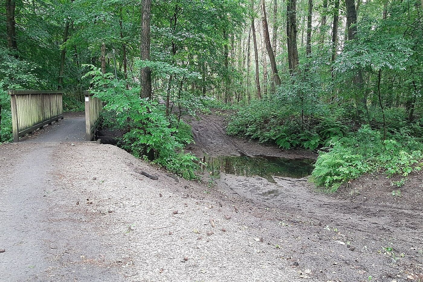 Brücke über die Wulbeck