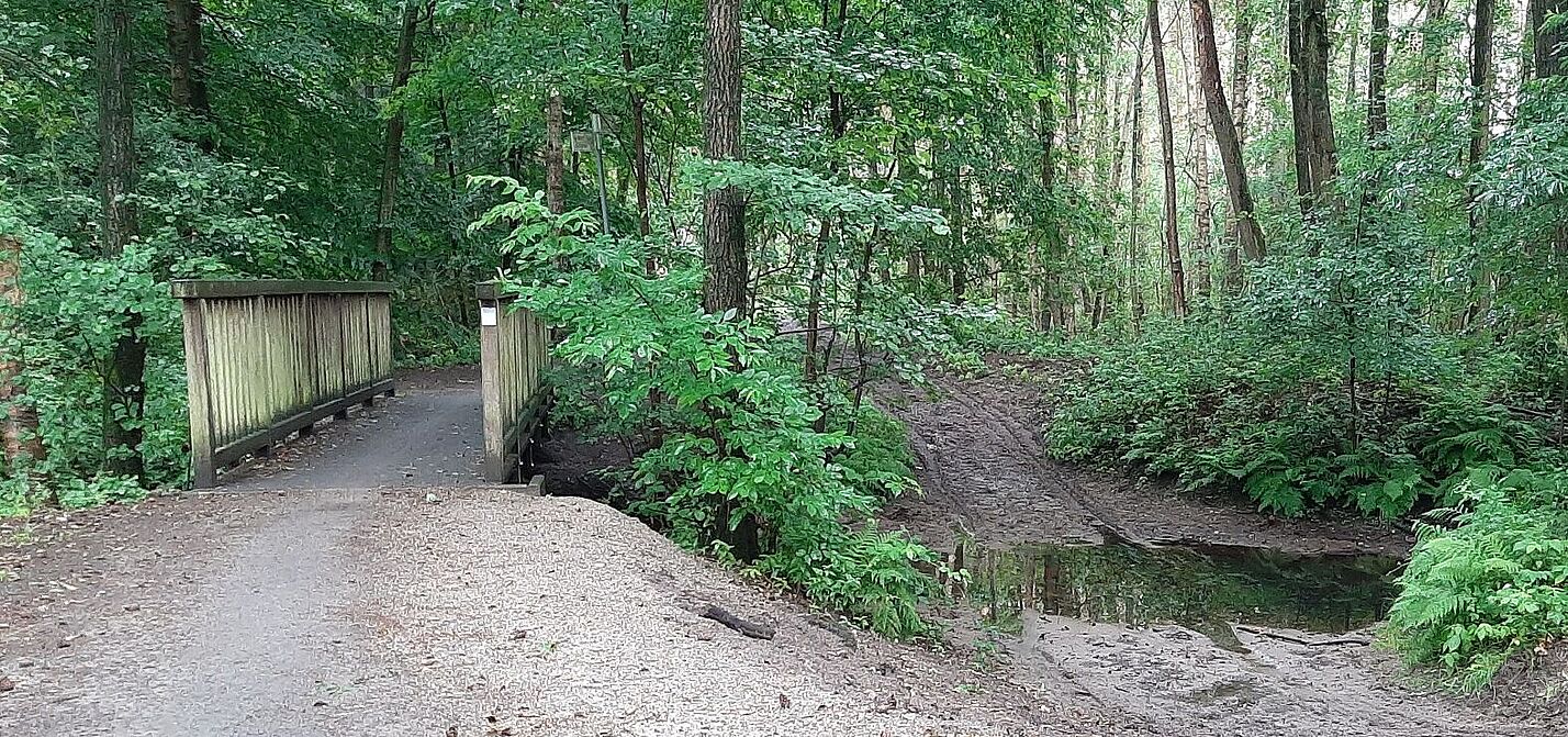 Brücke über die Wulbeck