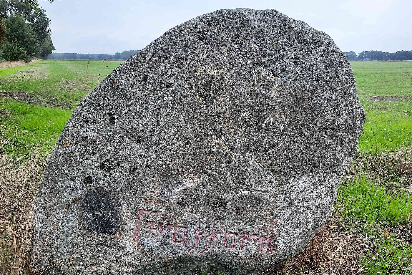 Findling Grafforn klein