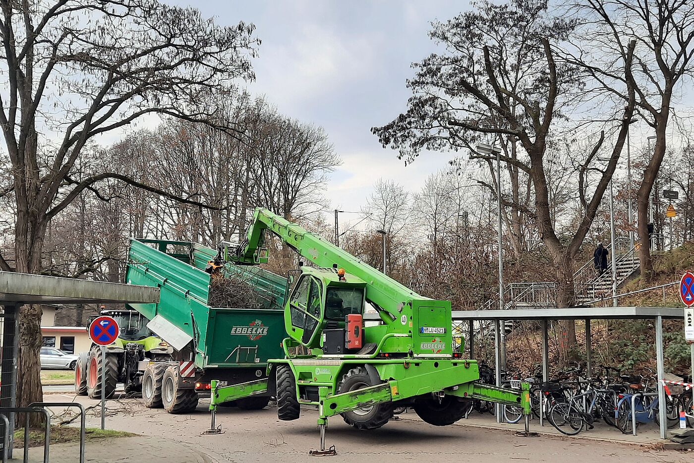 Baum und Box auf der Insel müssen weg