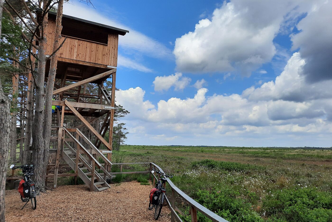 Bissendorfer Moor, Suedturm