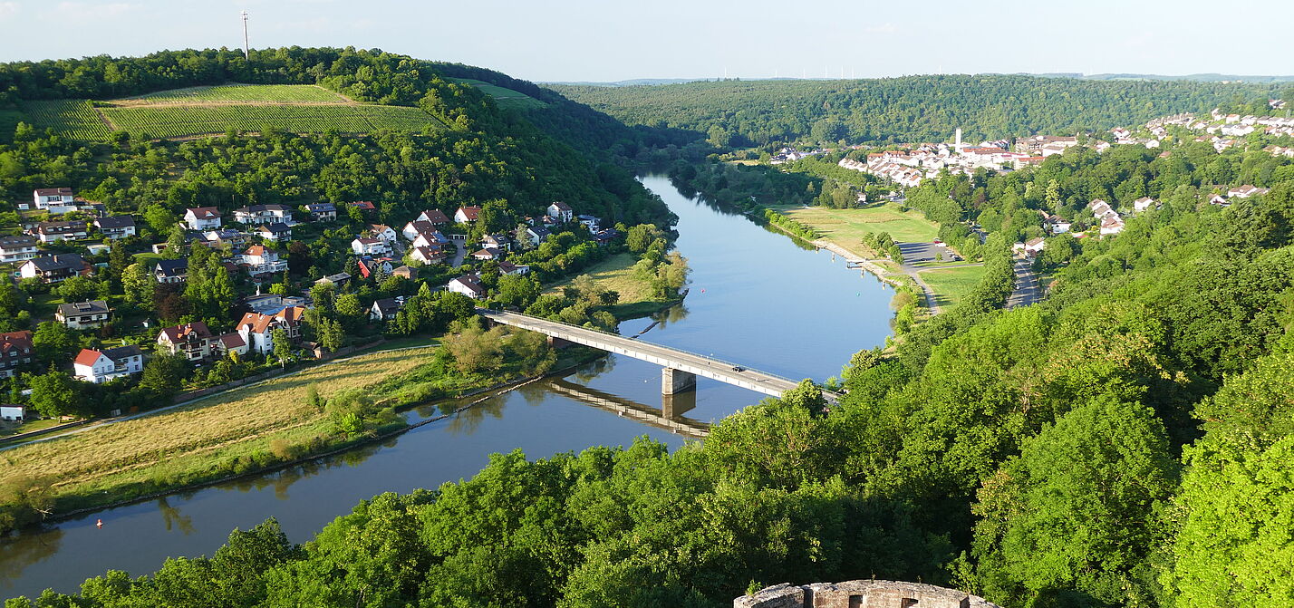 Blick von Burg Wertheim ins Maintal