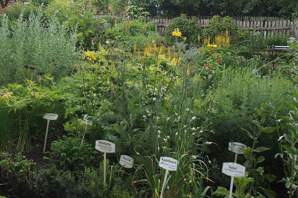 Bauerngarten in Wackenwinkel