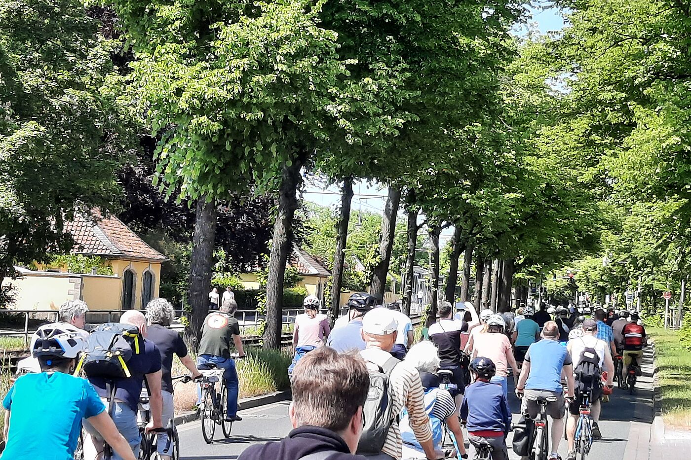 Kolonne auf der Godshorner Str.