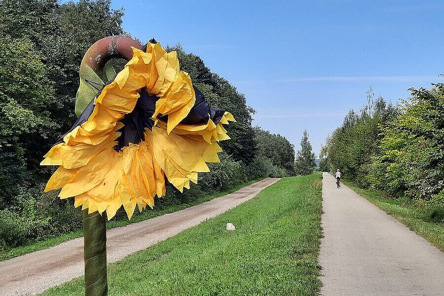 Radweg an der Memel