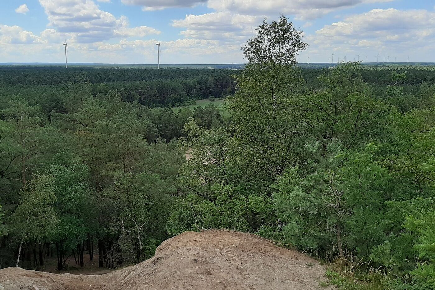 Blick vom Ölberg