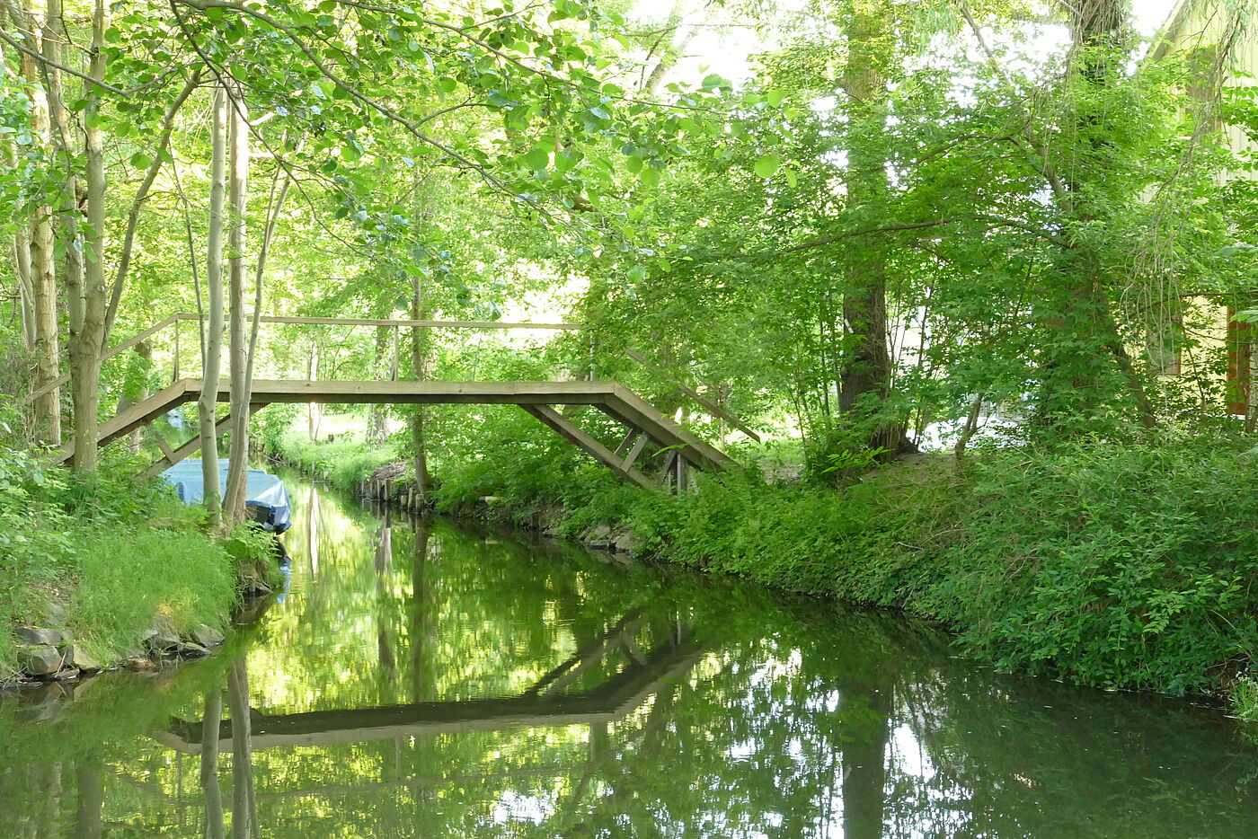 Kanal im Spreewald