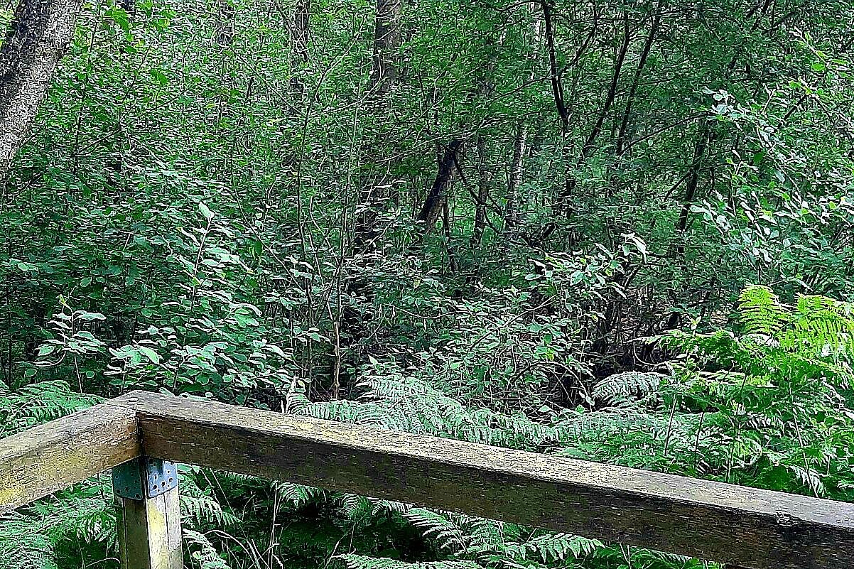 Aussichtspunkt