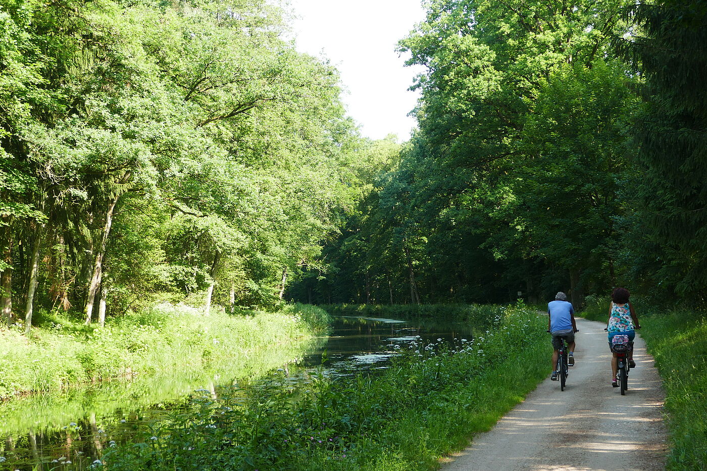 Ludwig-Donau-Main-Kanal